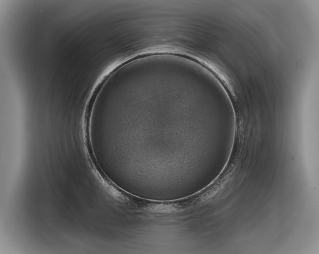 X0000116590998200912171549