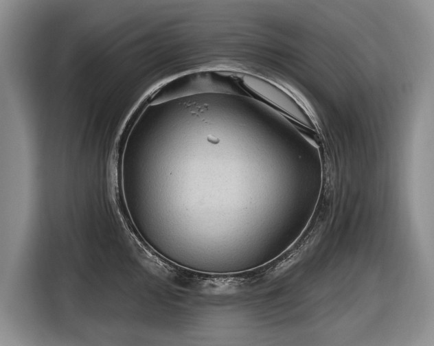 X0000116591000200912171549