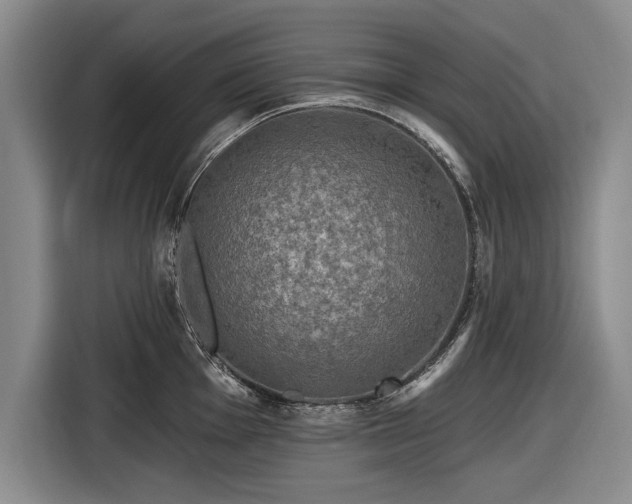 X0000116591001200912171549