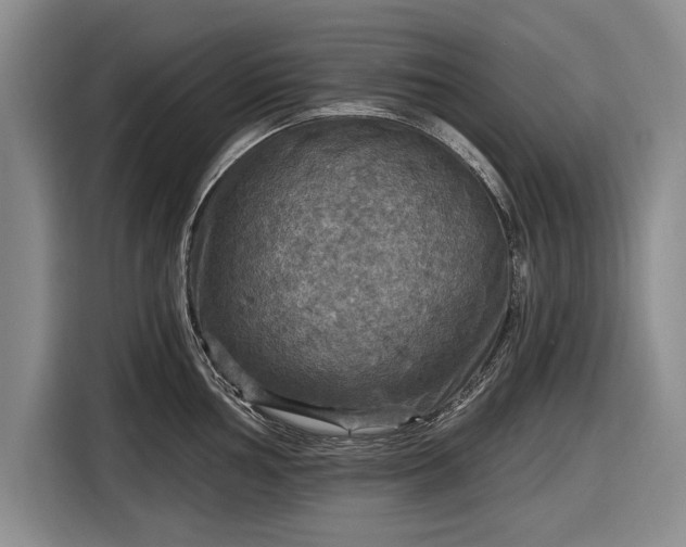 X0000116591002200912171549