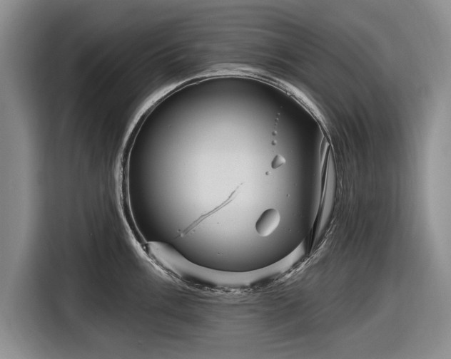 X0000116591003200912171549