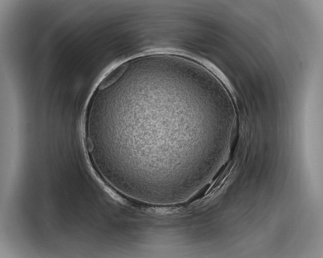 X0000116591005200912171549