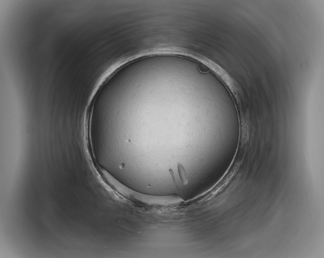 X0000116591006200912171549