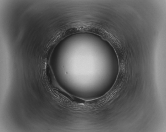 X0000116591012200912171549