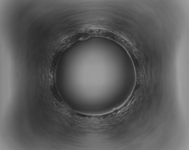 X0000116591013200912171549