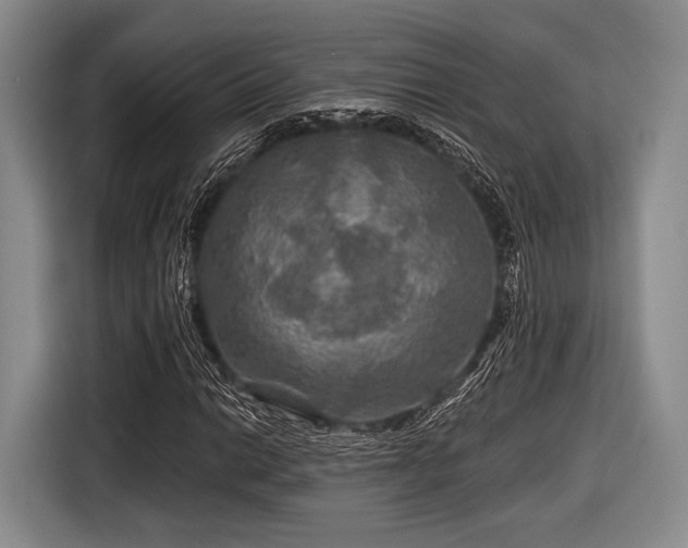 X0000116591014200912171549