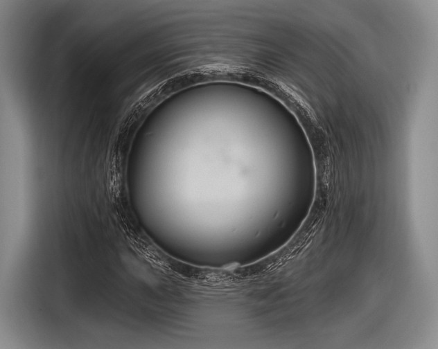 X0000116591015200912171549