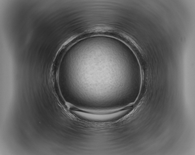 X0000116591018200912171549