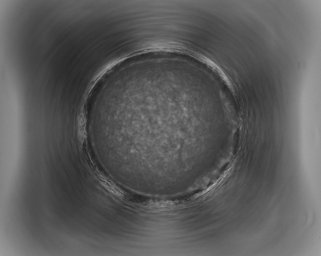 X0000116591019200912171549