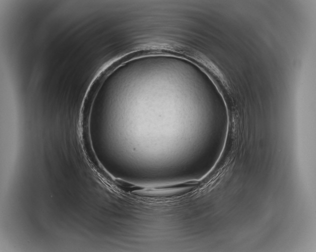 X0000116591020200912171549