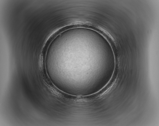 X0000116591021200912171549