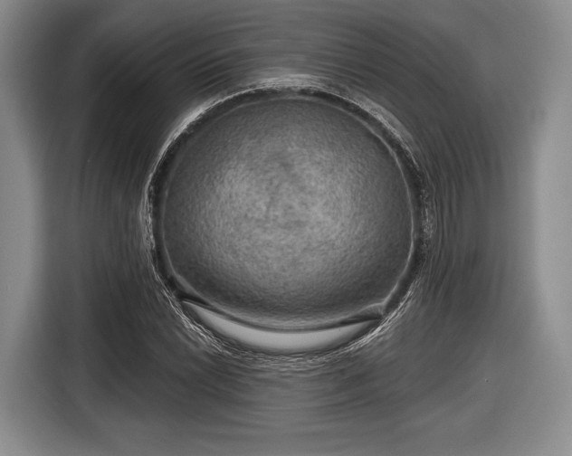 X0000116591022200912171549