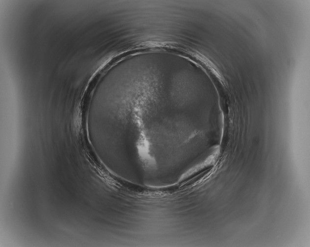 X0000116591023200912171549