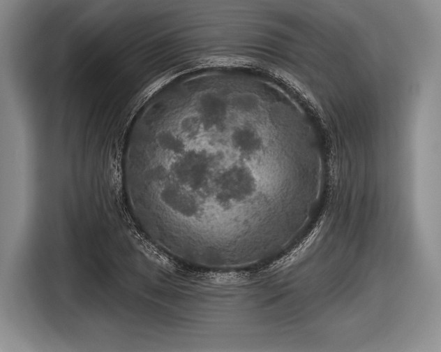 X0000116591025200912171549