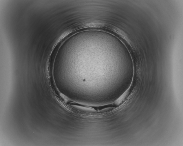 X0000116591026200912171549