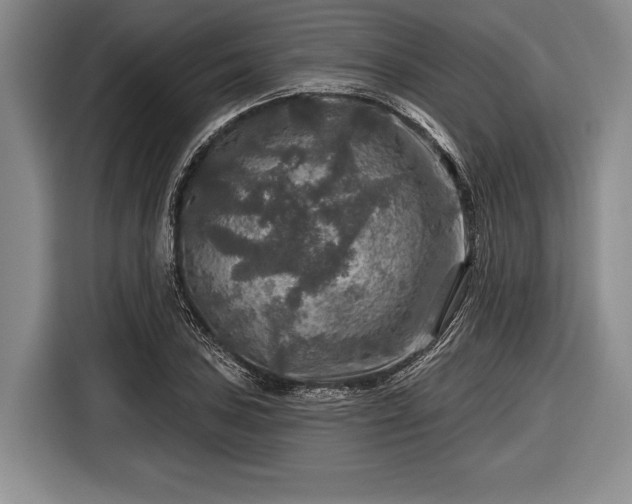 X0000116591027200912171549