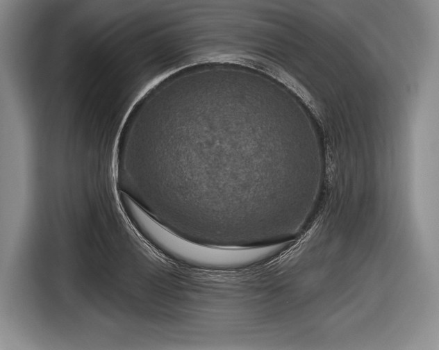 X0000116591028200912171549