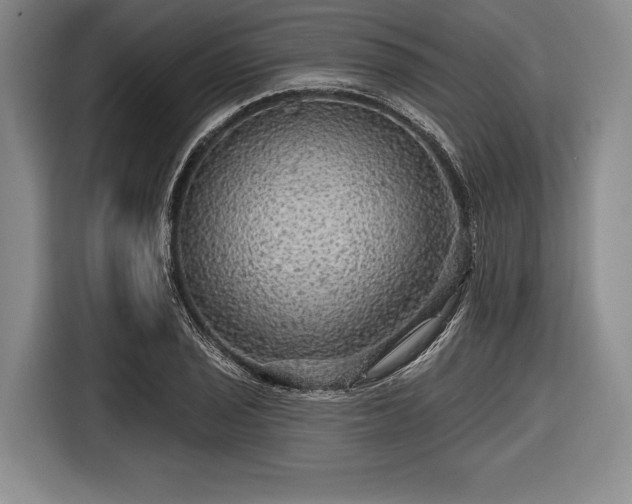 X0000116591029200912171549