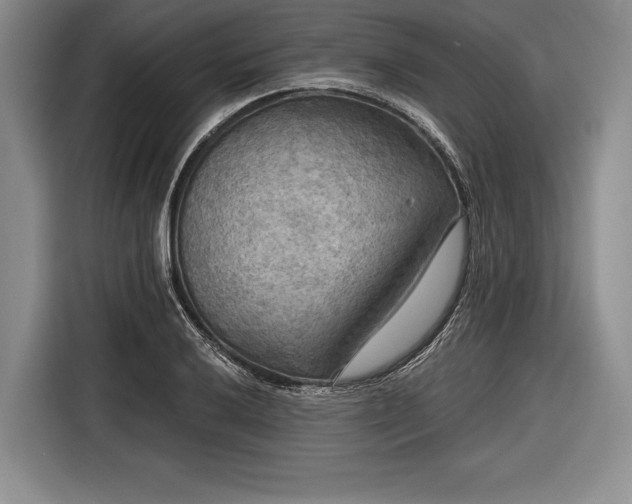 X0000116591032200912171549