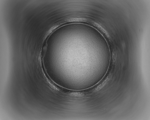 X0000116591033200912171549