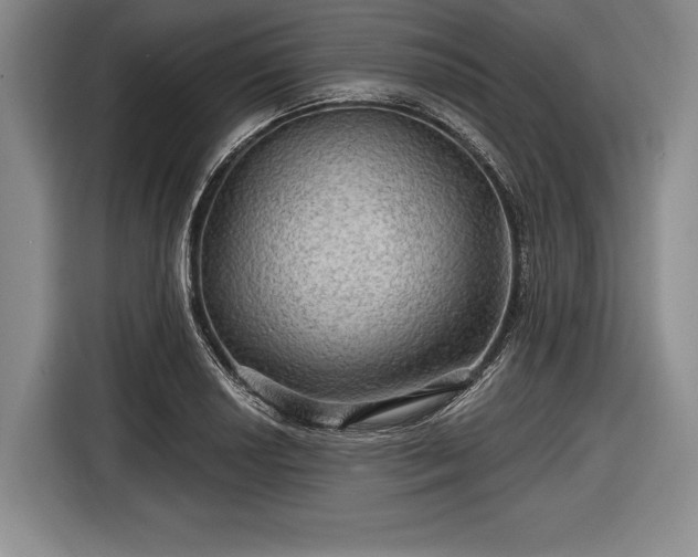 X0000116591034200912171549