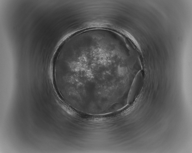 X0000116591035200912171549