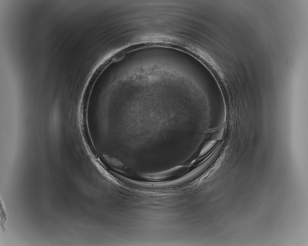 X0000116591037200912171549