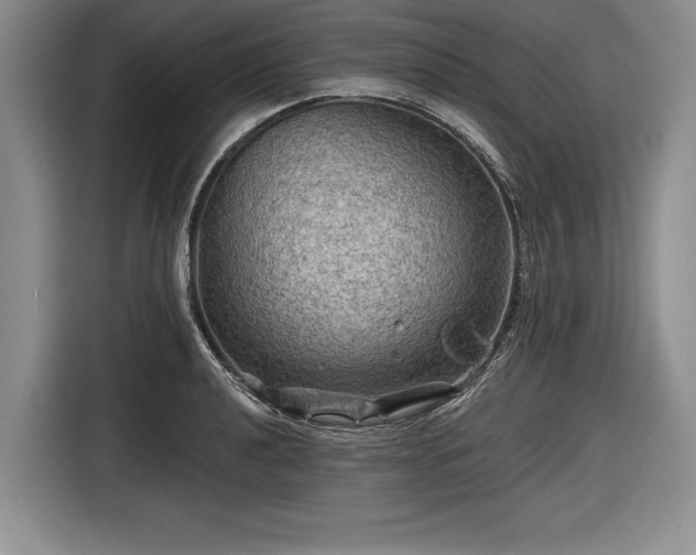 X0000116591040200912171549