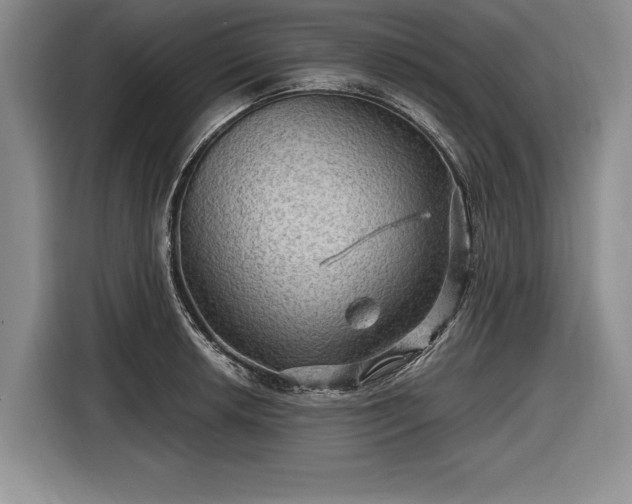 X0000116591042200912171549