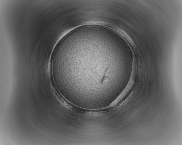 X0000116591044200912171549