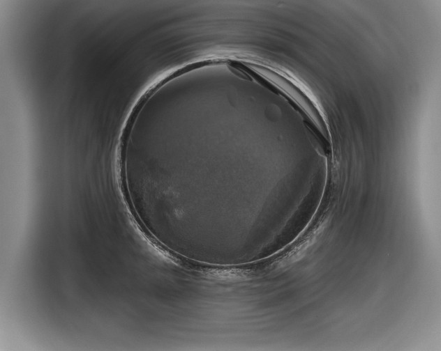 X0000116591045200912171549