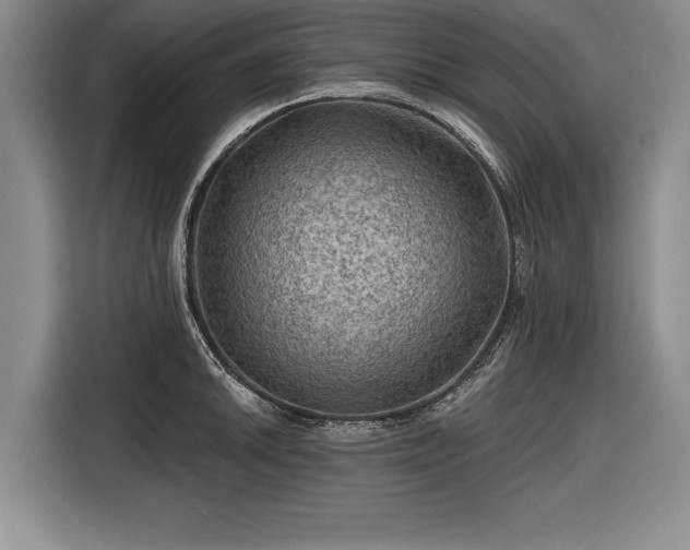 X0000116591046200912171549