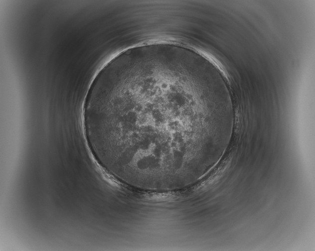 X0000116591047200912171549