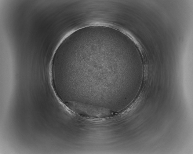 X0000116591048200912171549