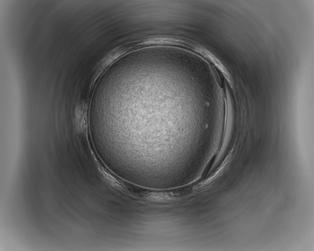 X0000116591049200912171549