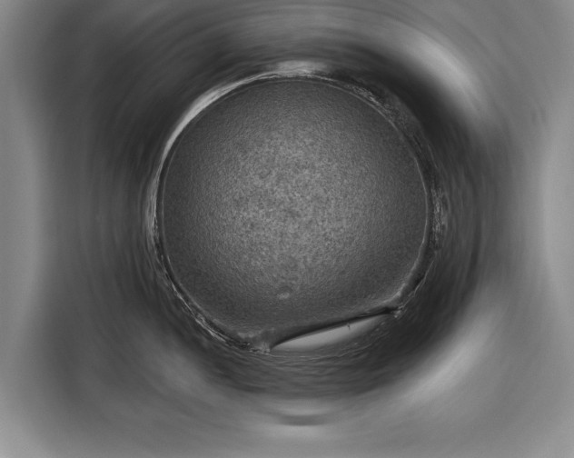 X0000116591052200912171549