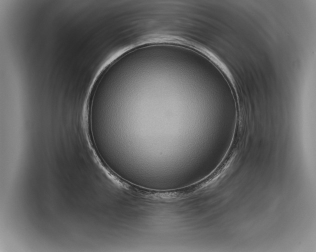 X0000116591053200912171549