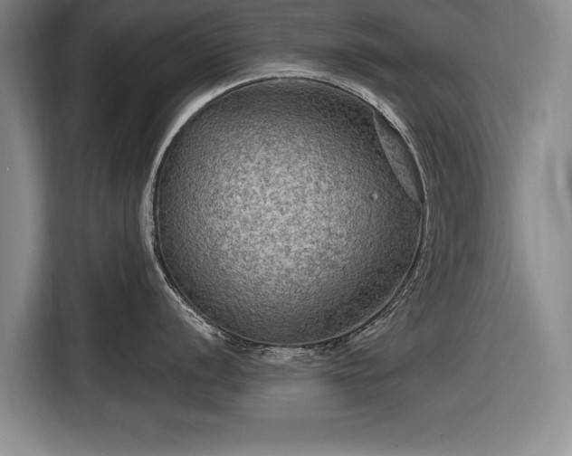 X0000116591056200912171549