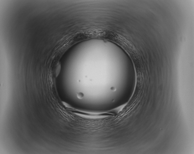 X0000116591058200912171549