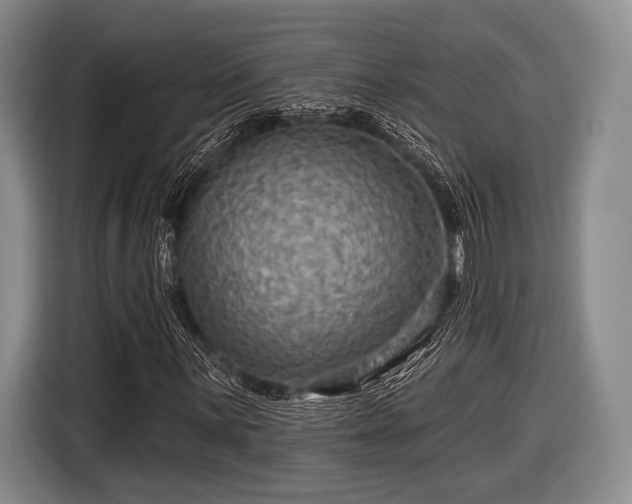 X0000116591059200912171549