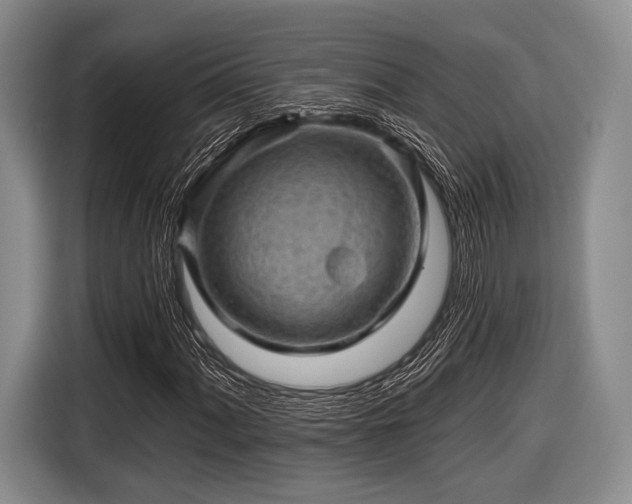 X0000116591060200912171549