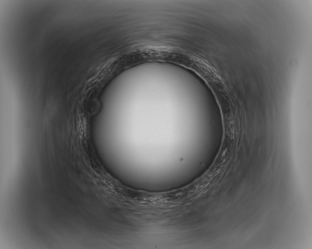 X0000116591061200912171549