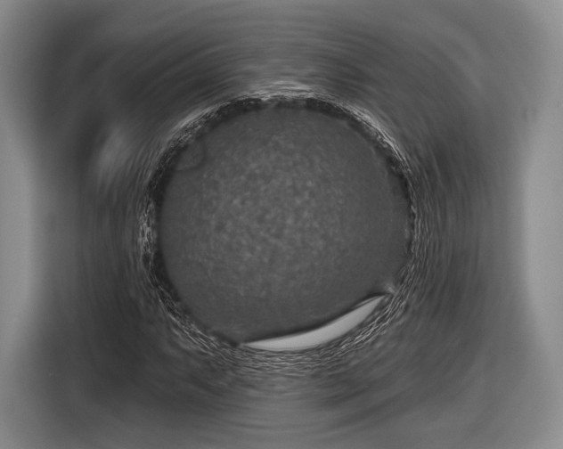 X0000116591063200912171549