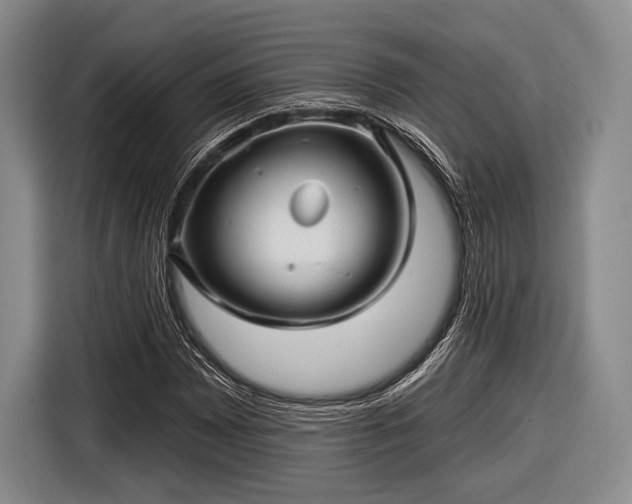 X0000116591065200912171549