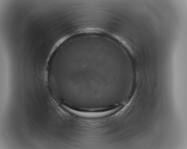 X0000116591066200912171549