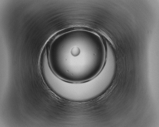 X0000116591068200912171549