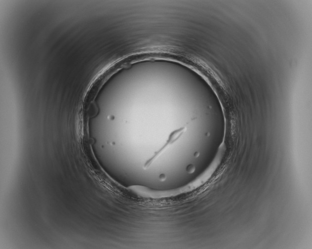 X0000116591069200912171549