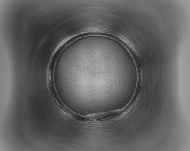 X0000116591070200912171549