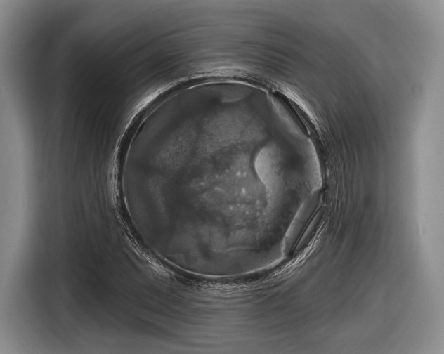 X0000116591071200912171549