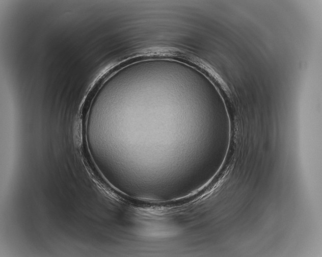 X0000116591075200912171548